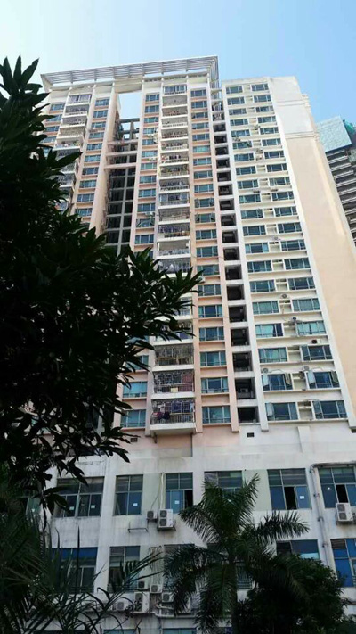 麦芽口腔送口福进深港豪苑