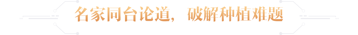 title2
