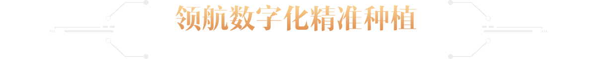 title4