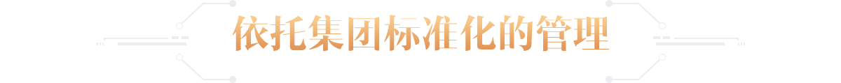 title6